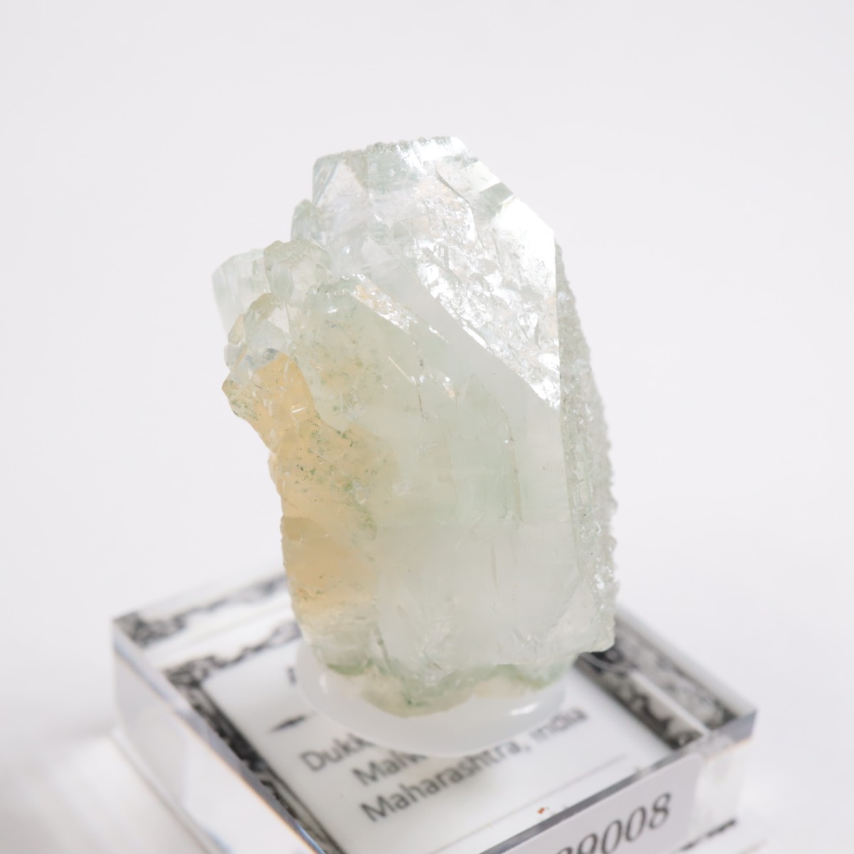 ����ɻ� ���ݥե��饤��