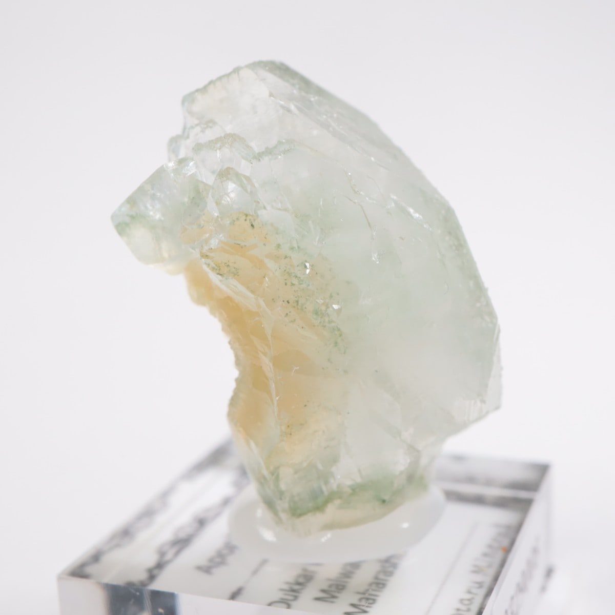 ����ɻ� ���ݥե��饤��