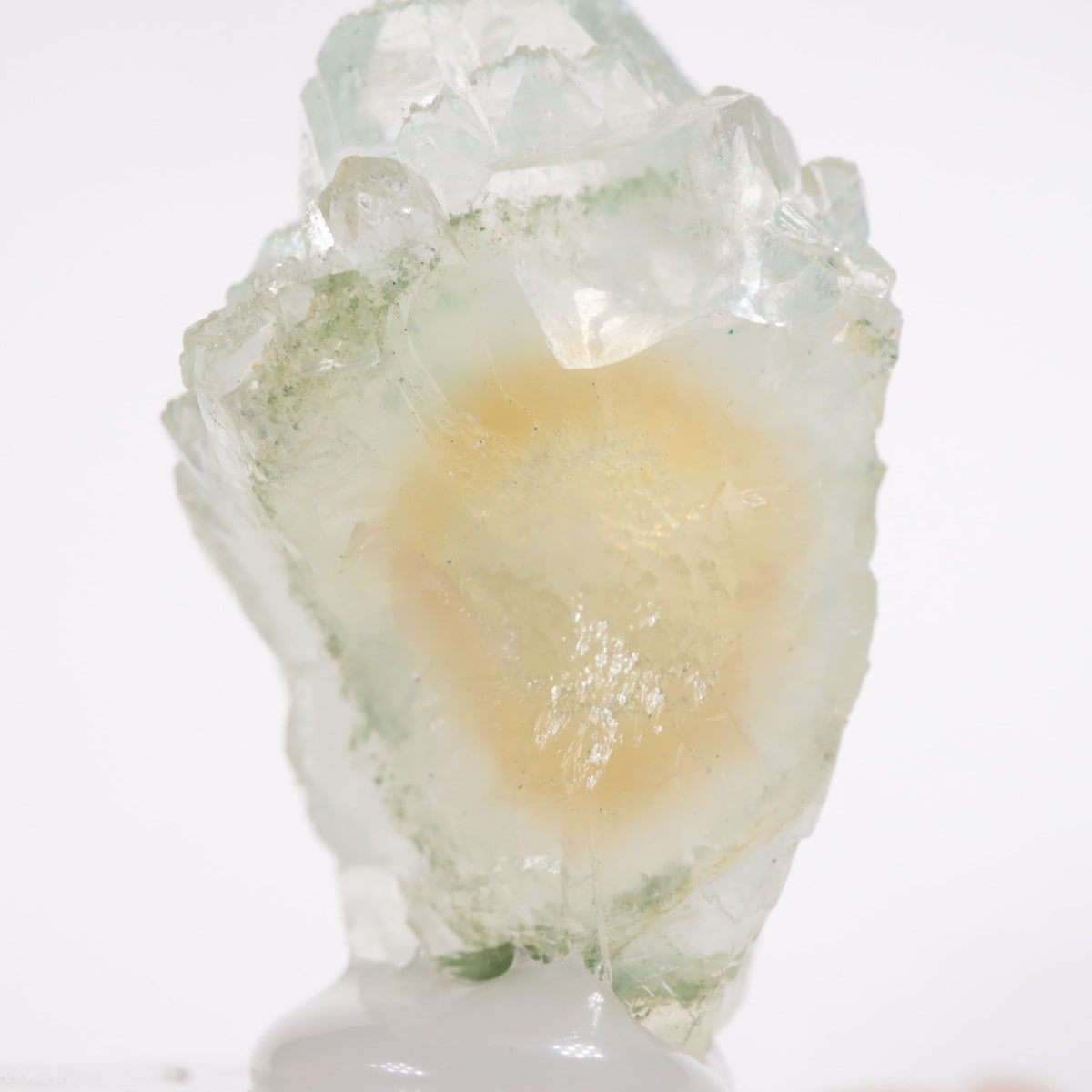 ����ɻ� ���ݥե��饤��