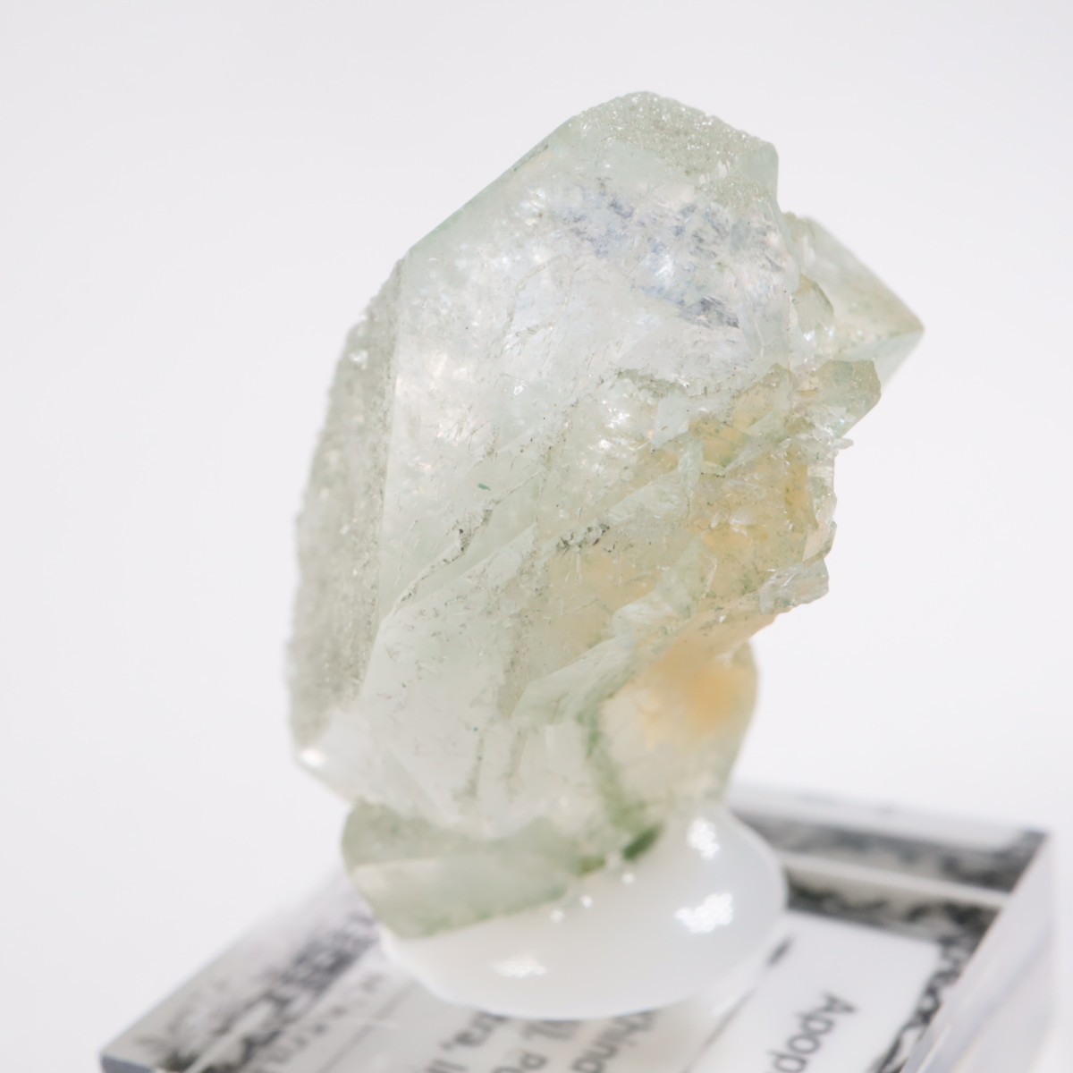 ����ɻ� ���ݥե��饤��