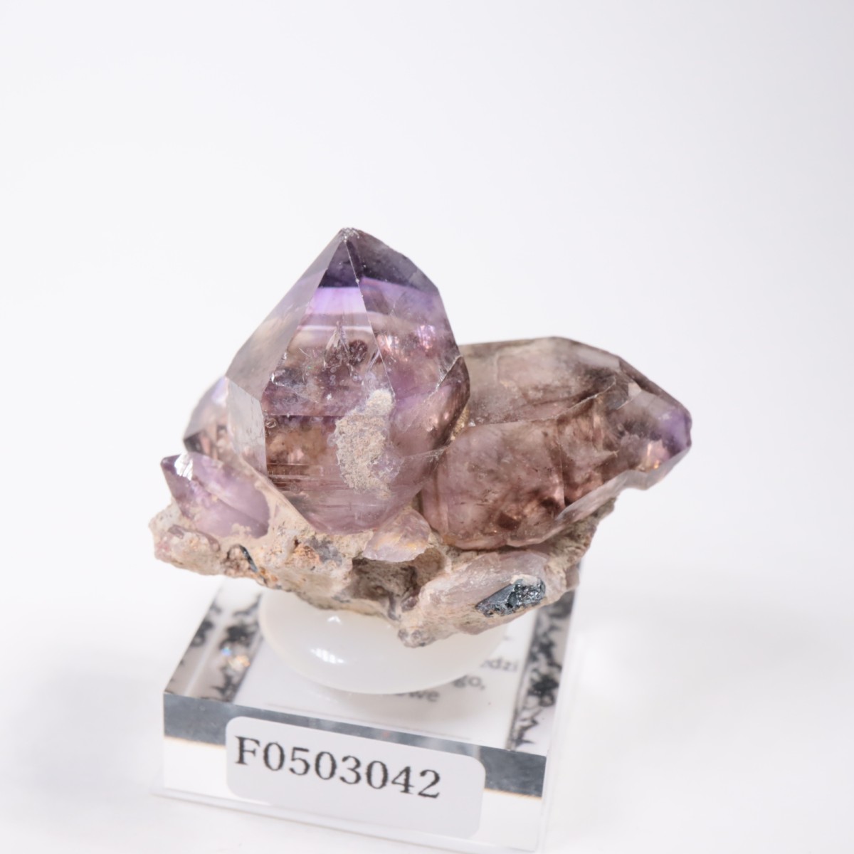 ����Х֥��� ���᥷����