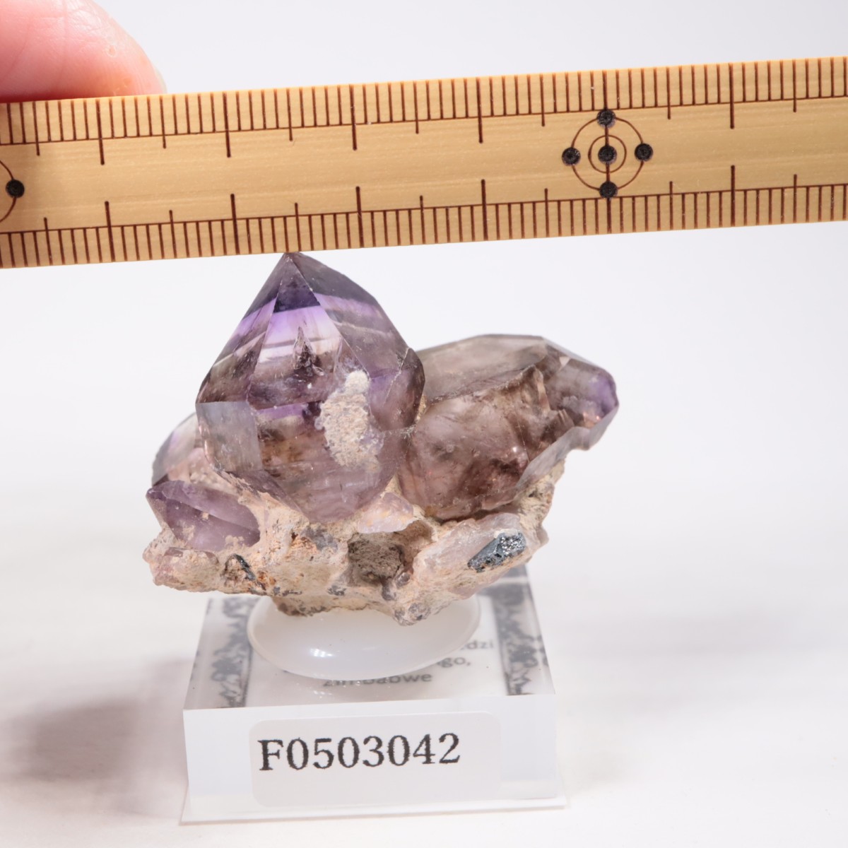 ����Х֥��� ���᥷����