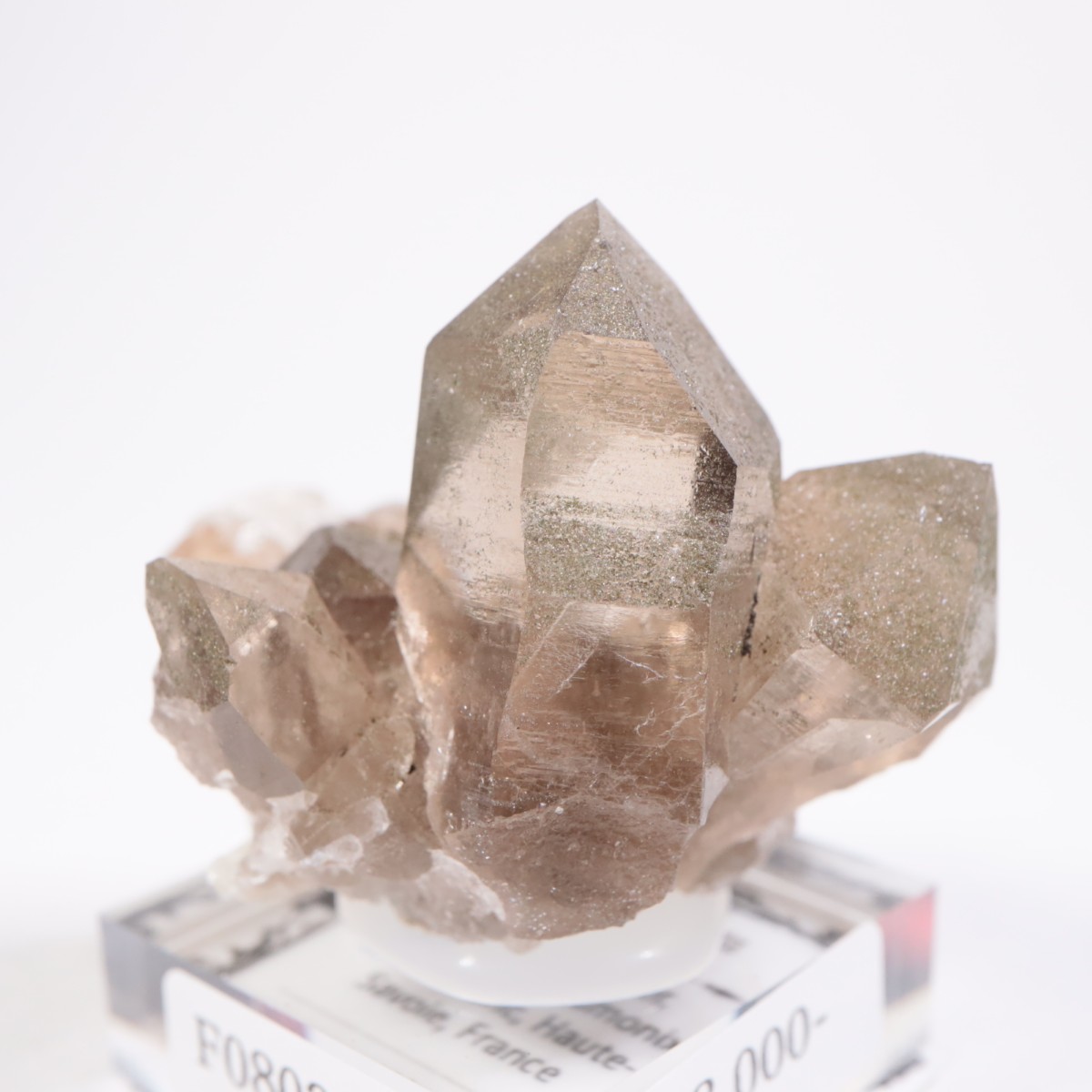 �ե�󥹻� ���⡼������������