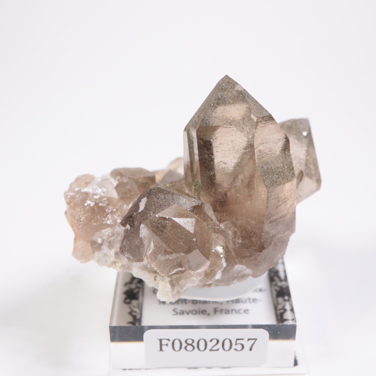 フランス産 スモーキークォーツ | 鉱物標本,サ行,スモーキークォーツ