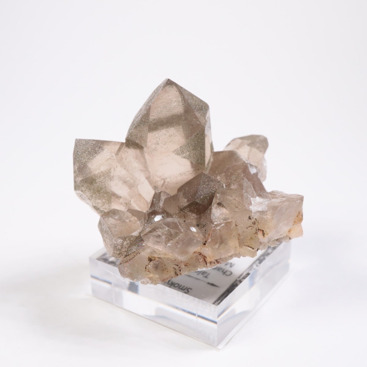 �ե�󥹻� ���⡼������������