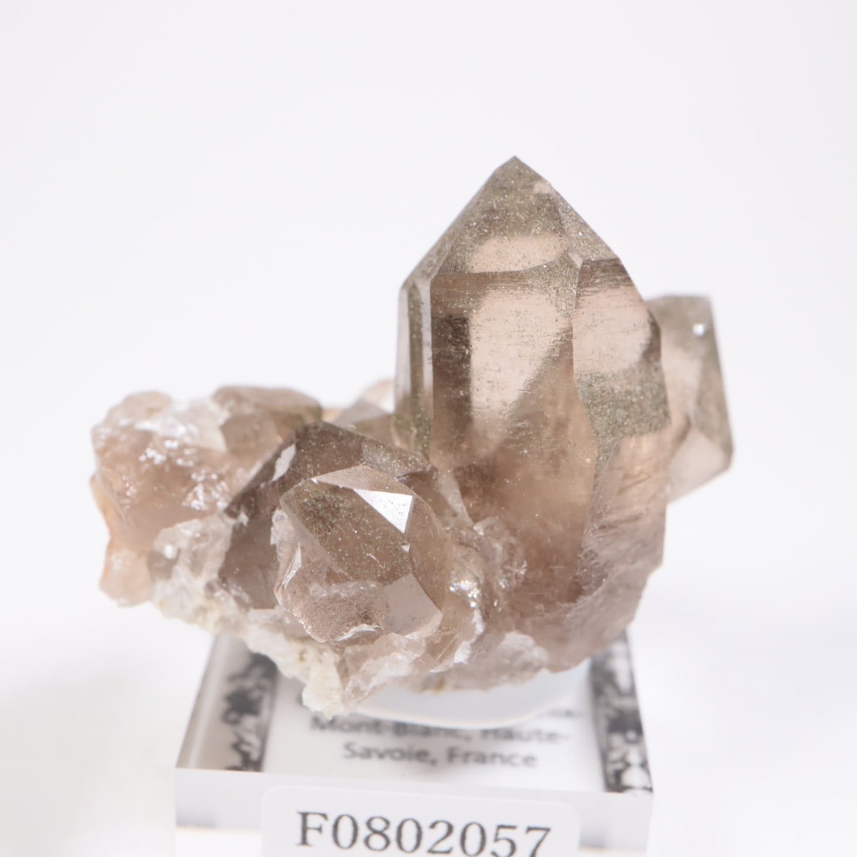 フランス産 スモーキークォーツ | 鉱物標本,サ行,スモーキークォーツ