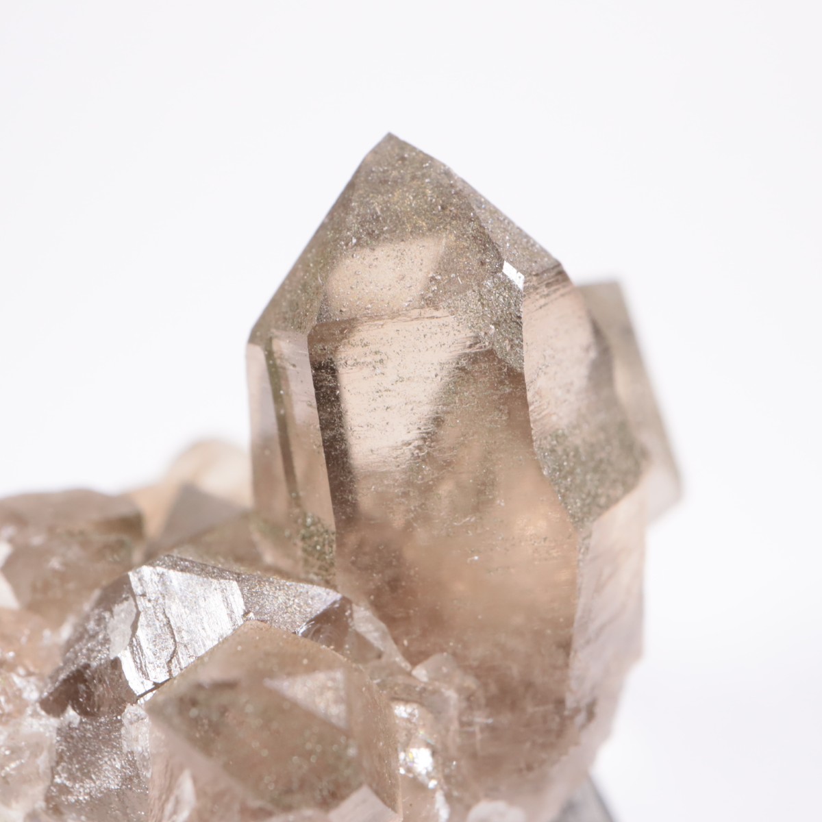 �ե�󥹻� ���⡼������������