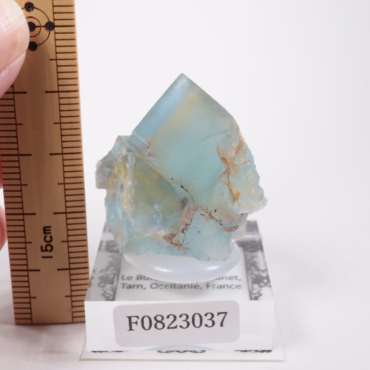 �ե�󥹻� �ե����饤��