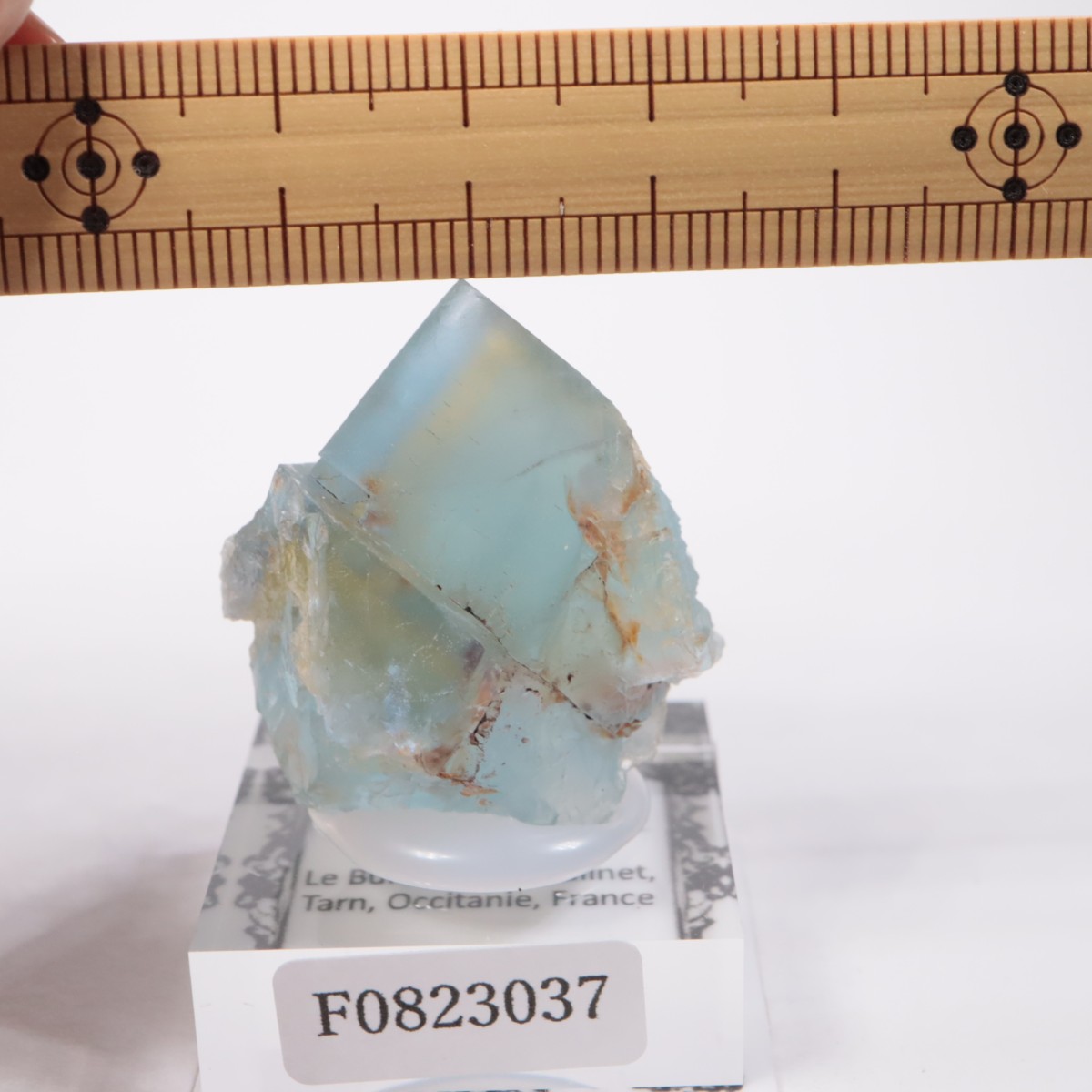 �ե�󥹻� �ե����饤��