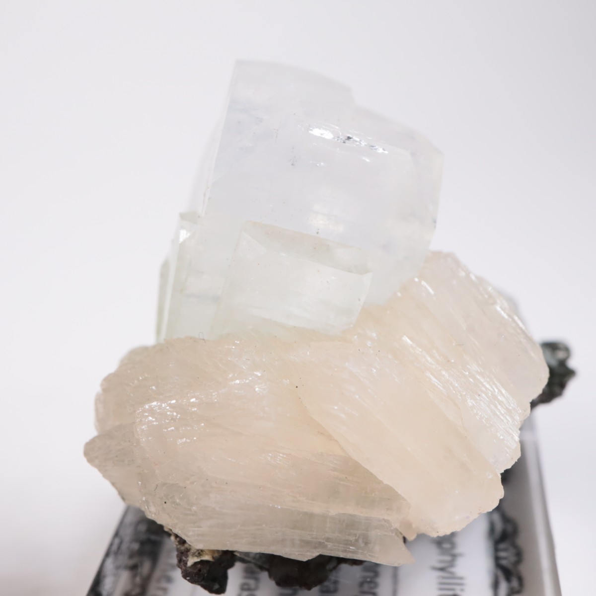 ����ɻ� ���ݥե��饤��