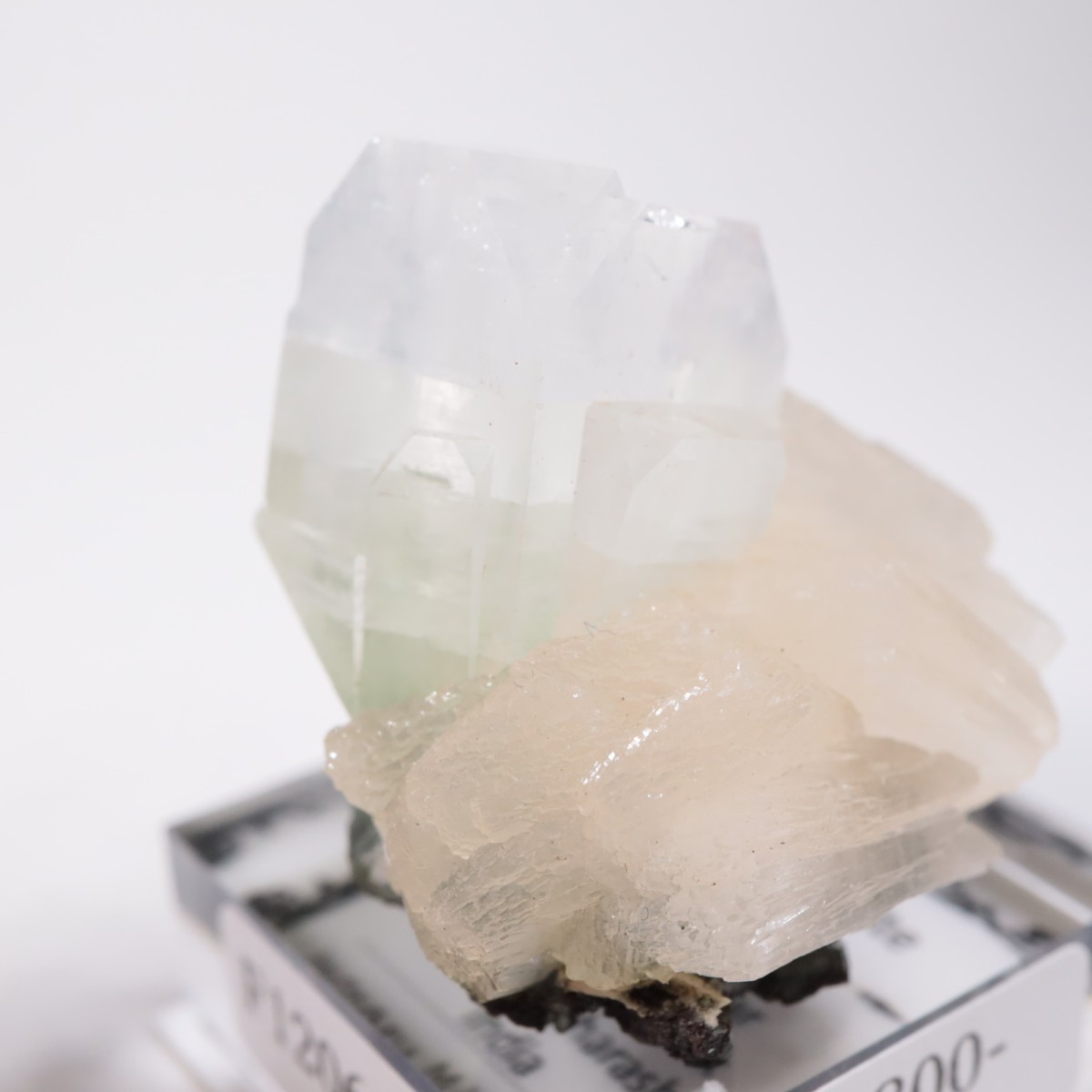 ����ɻ� ���ݥե��饤��