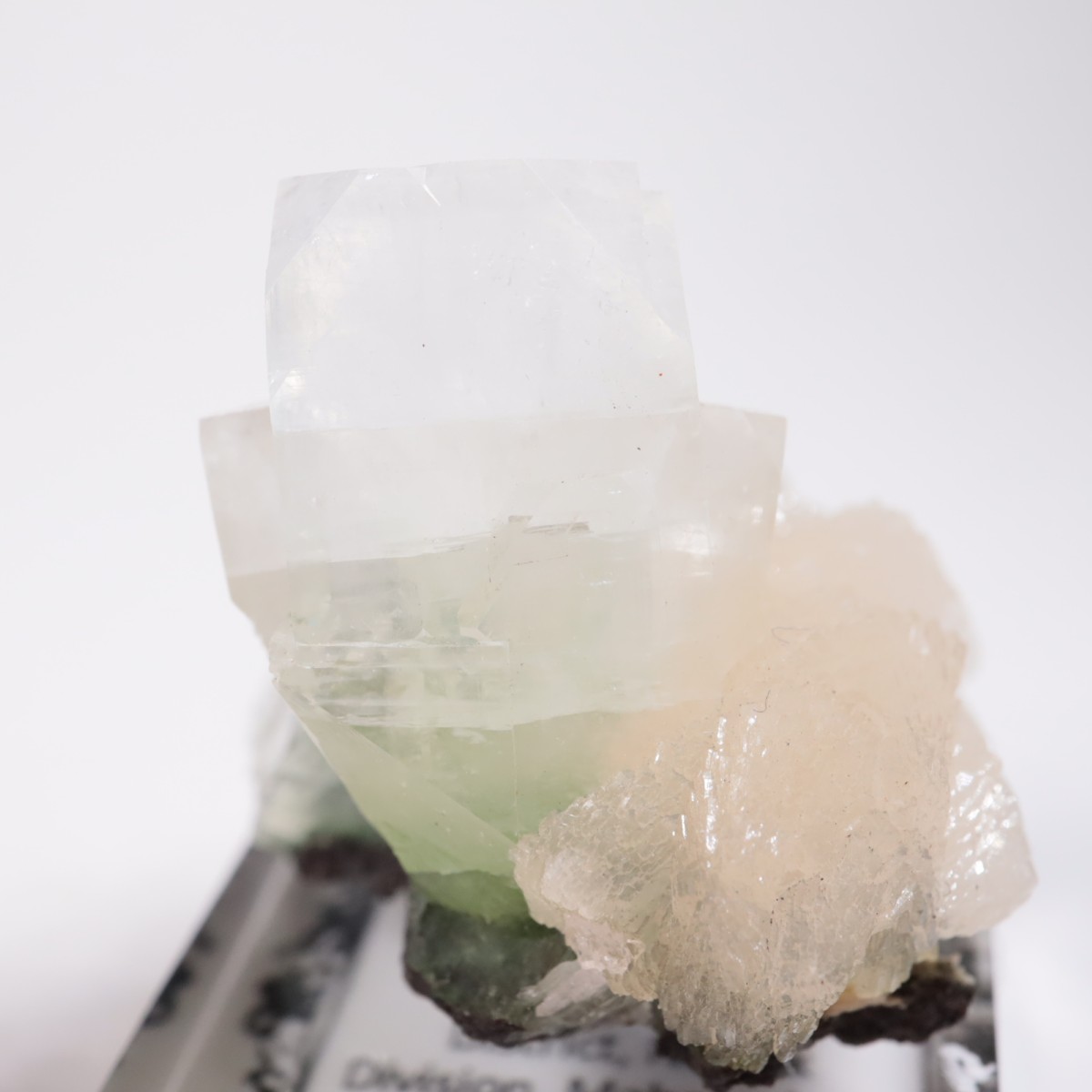 ����ɻ� ���ݥե��饤��