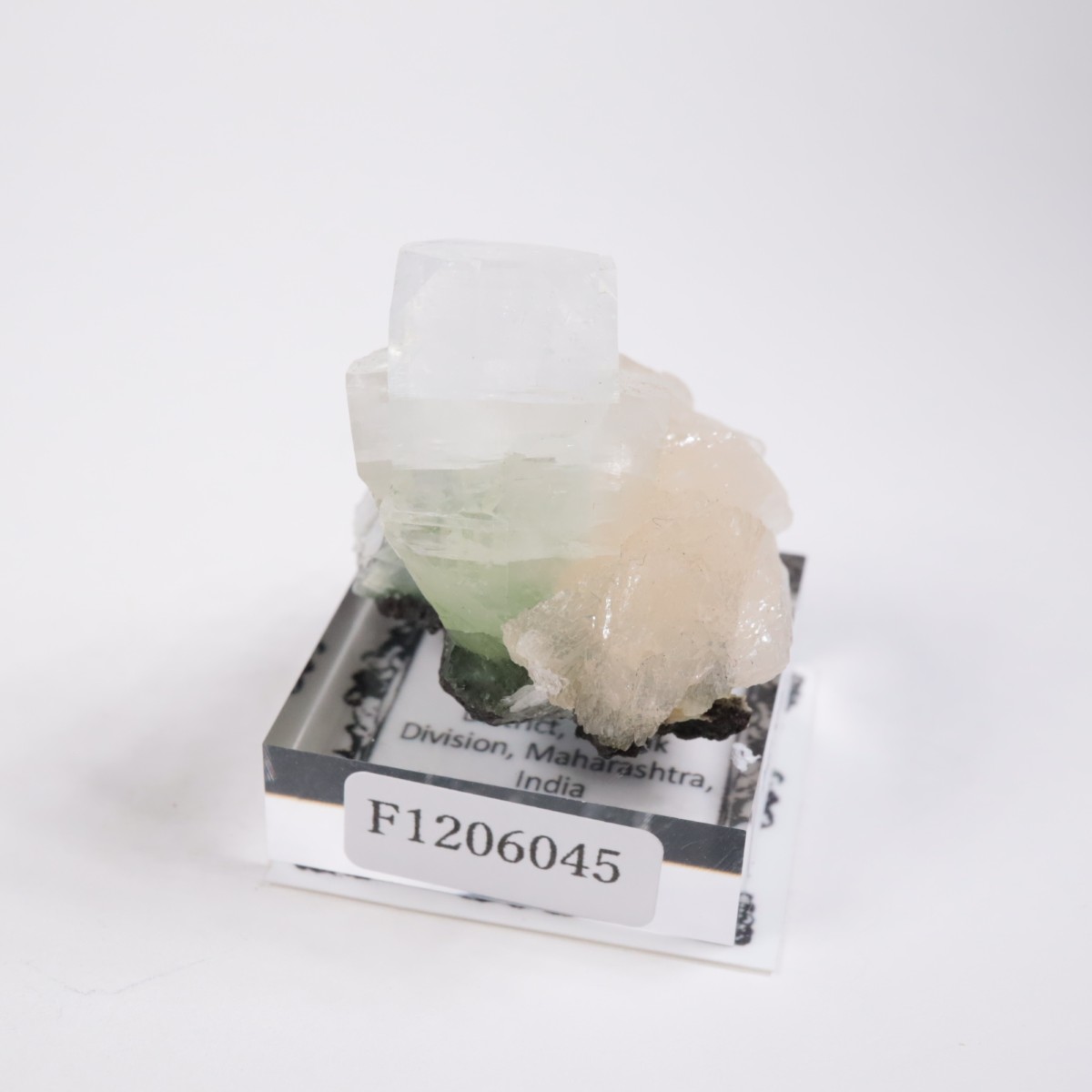 ����ɻ� ���ݥե��饤��