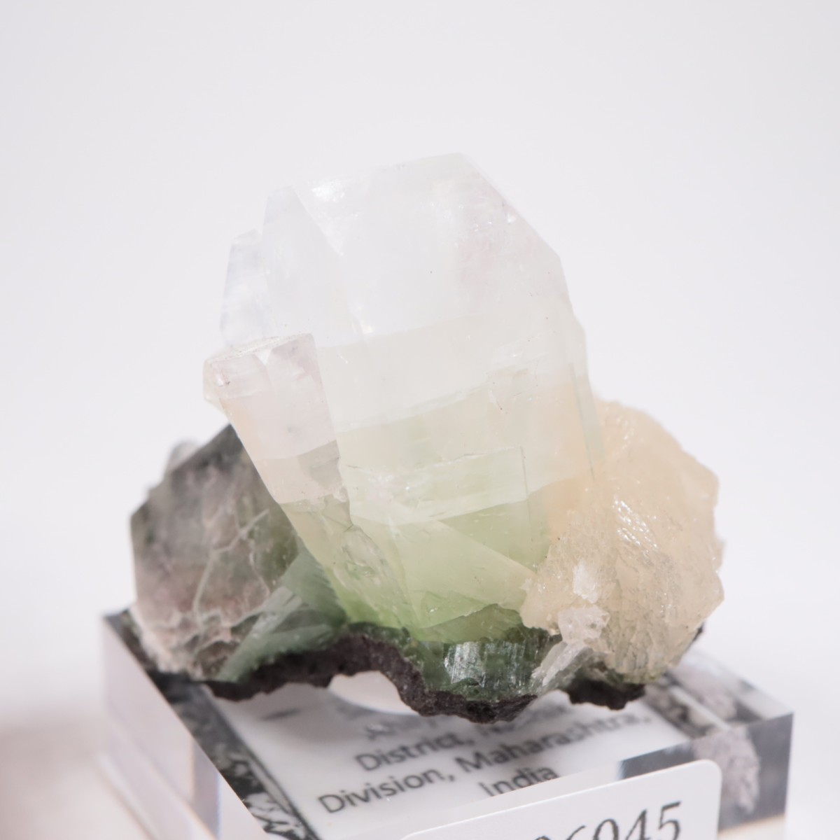 ����ɻ� ���ݥե��饤��