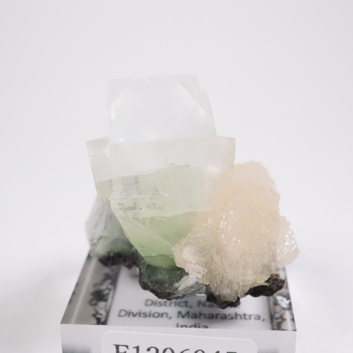 ����ɻ� ���ݥե��饤��