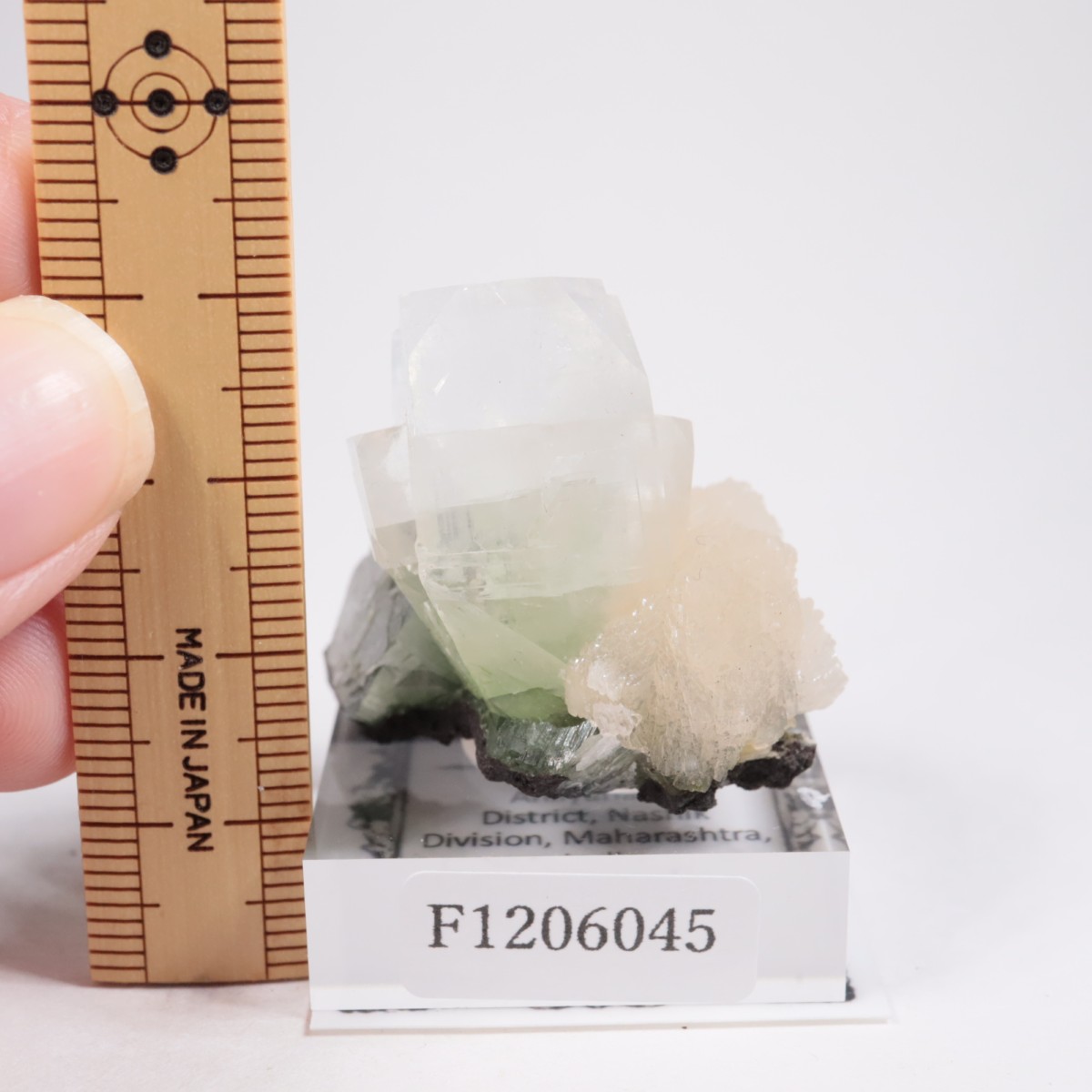 ����ɻ� ���ݥե��饤��