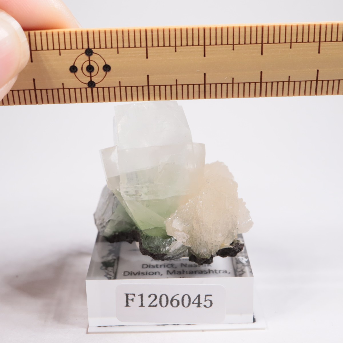 ����ɻ� ���ݥե��饤��