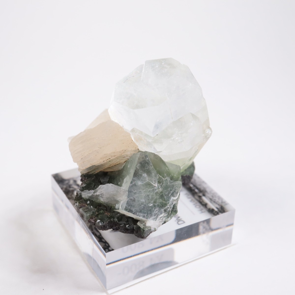 ����ɻ� ���ݥե��饤��