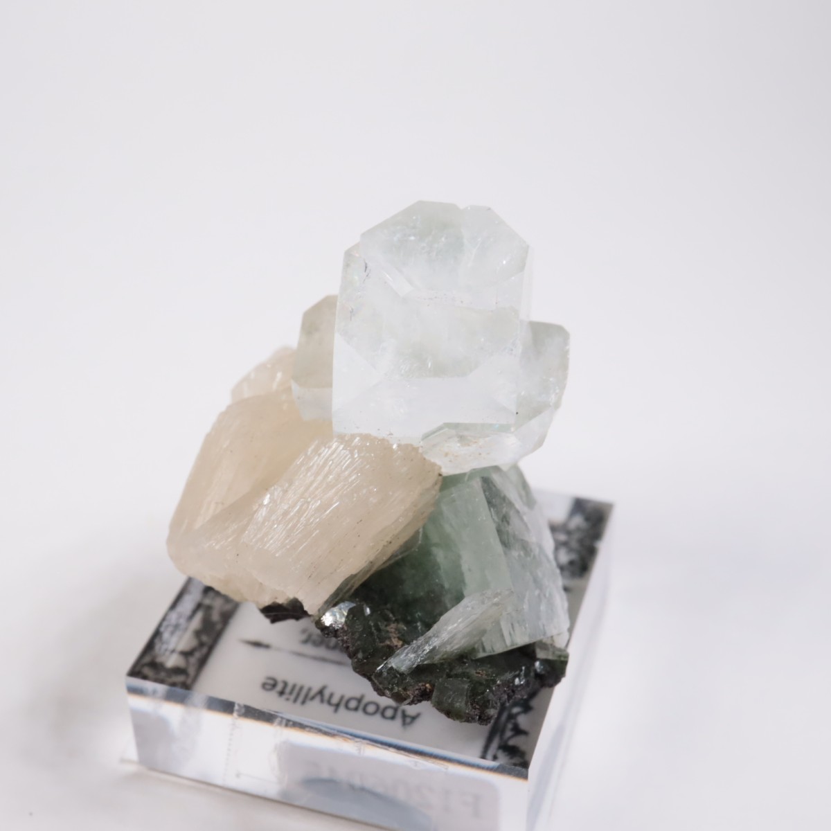 ����ɻ� ���ݥե��饤��