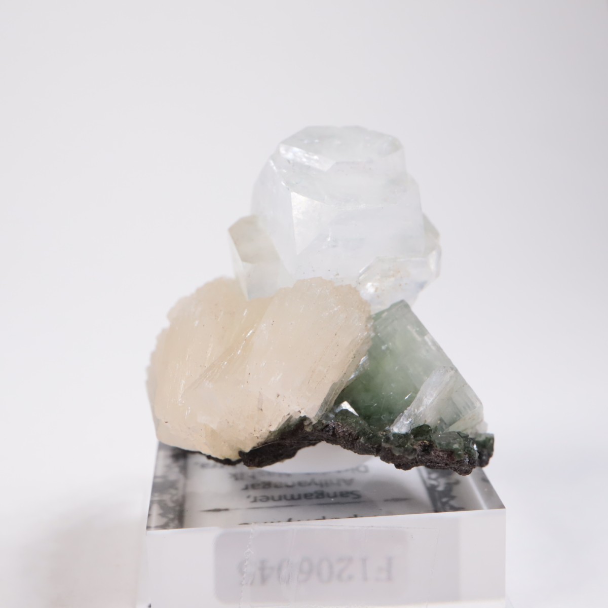 ����ɻ� ���ݥե��饤��