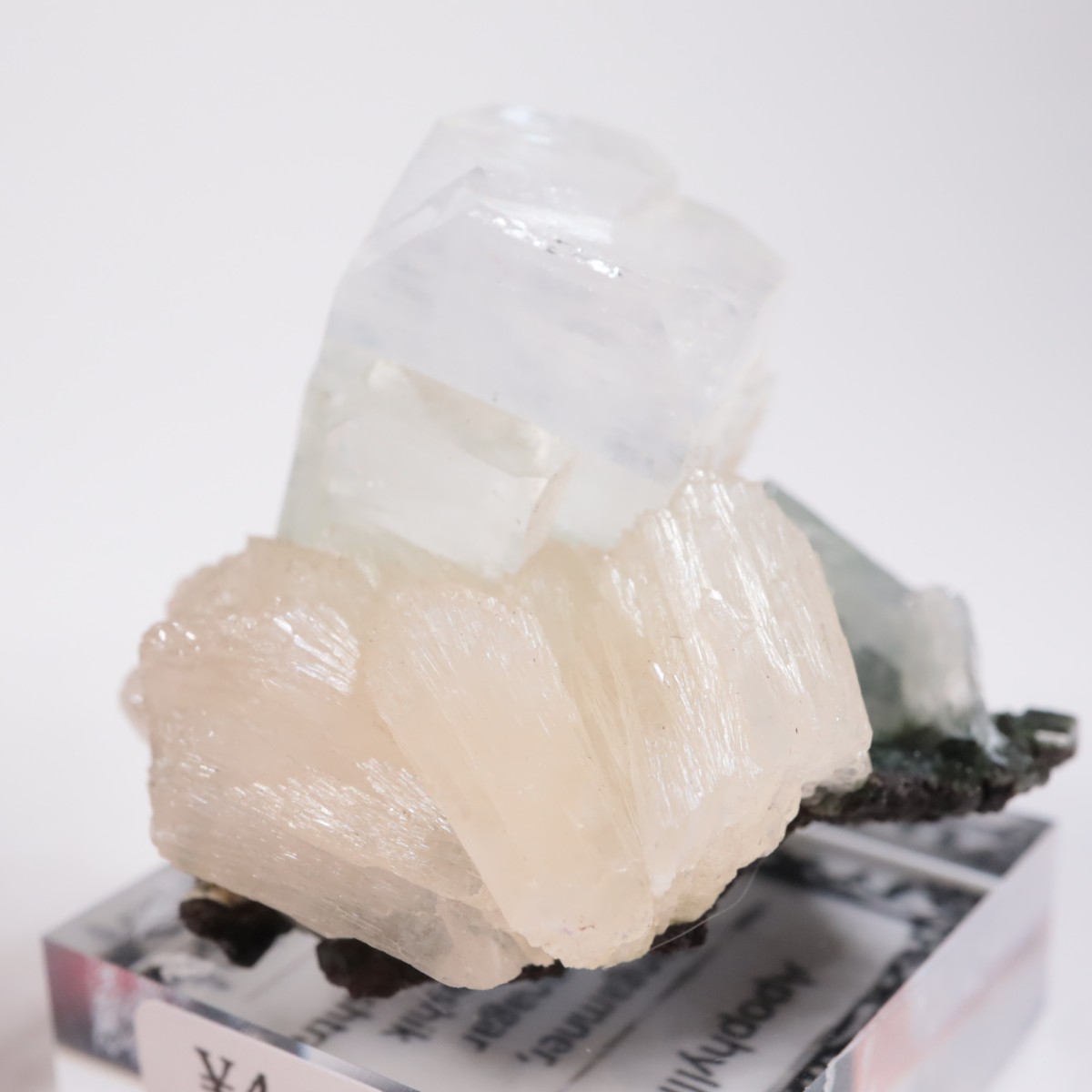 ����ɻ� ���ݥե��饤��