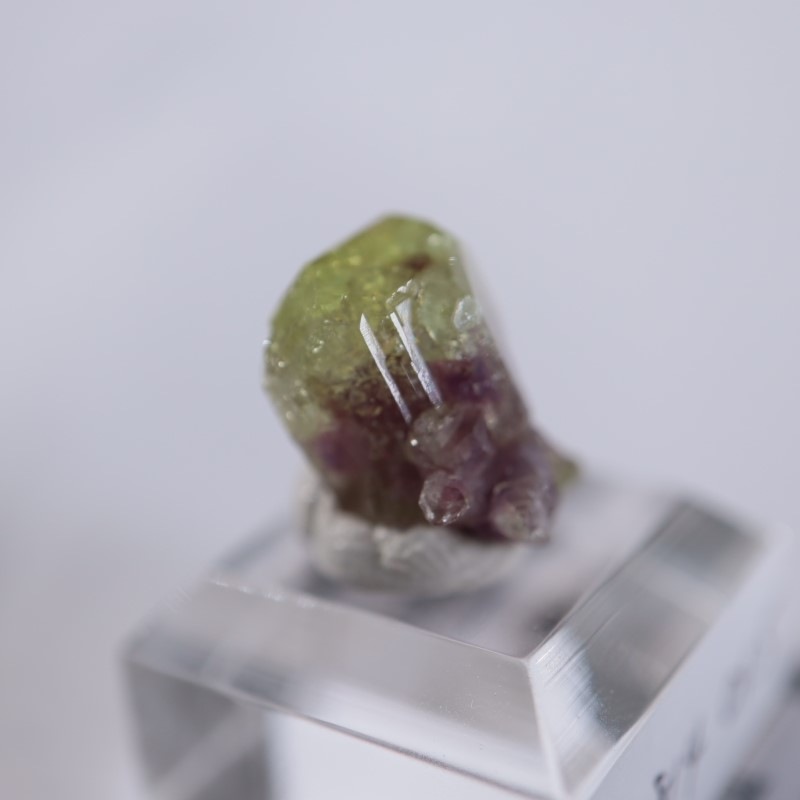 �٥����Сʥ٥��ӥ��ʥ��ȡ�