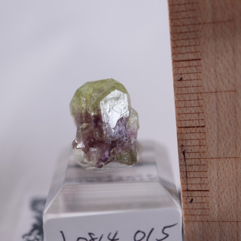 �٥����Сʥ٥��ӥ��ʥ��ȡ�