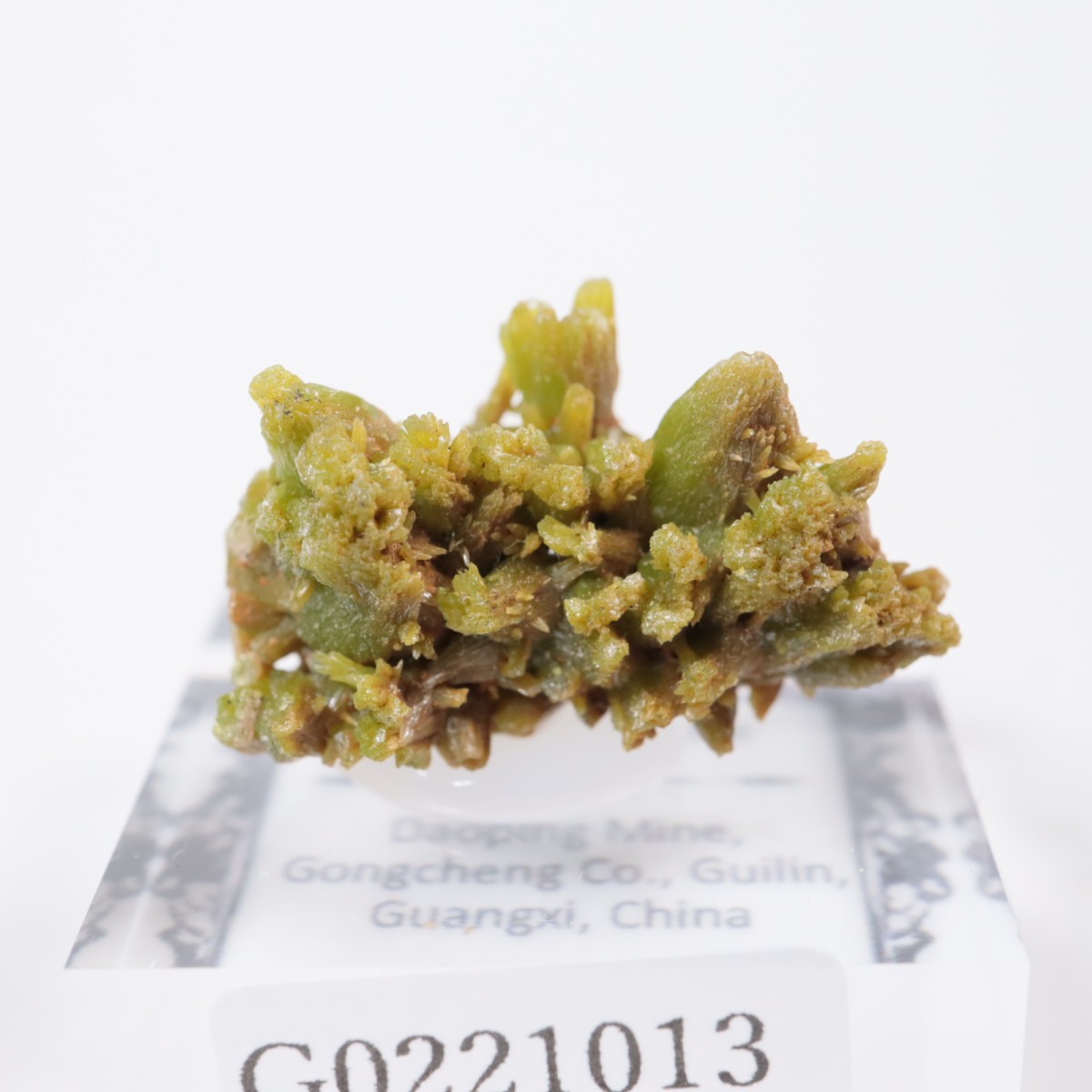 Daoping�ۻ� �ѥ������ե�����