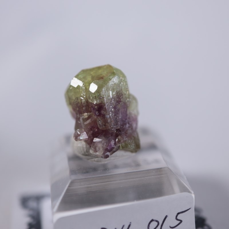 �٥����Сʥ٥��ӥ��ʥ��ȡ�