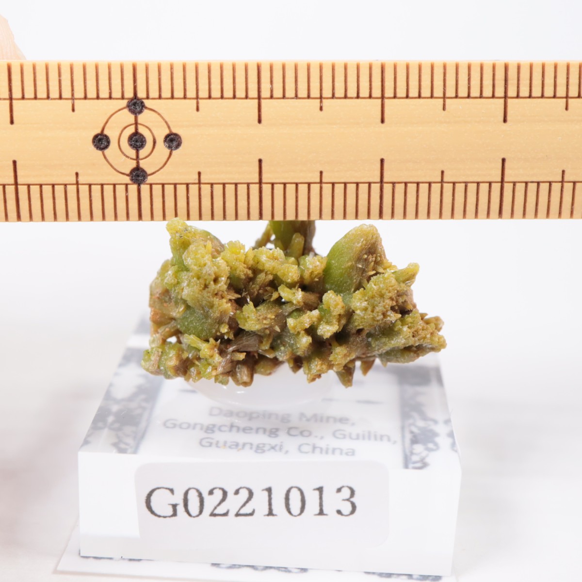 Daoping�ۻ� �ѥ������ե�����