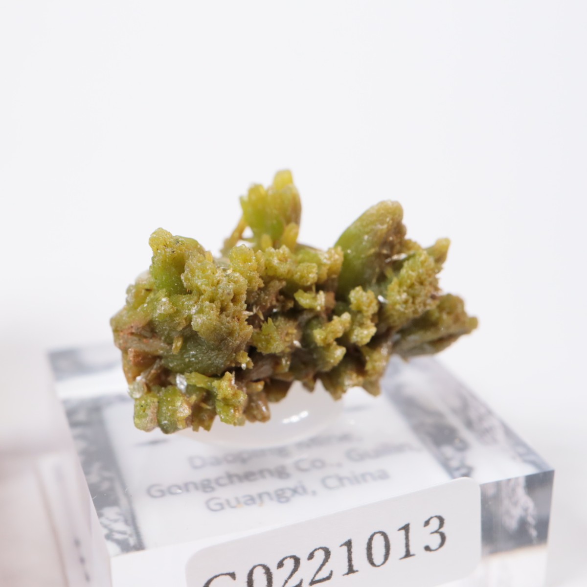 Daoping�ۻ� �ѥ������ե�����