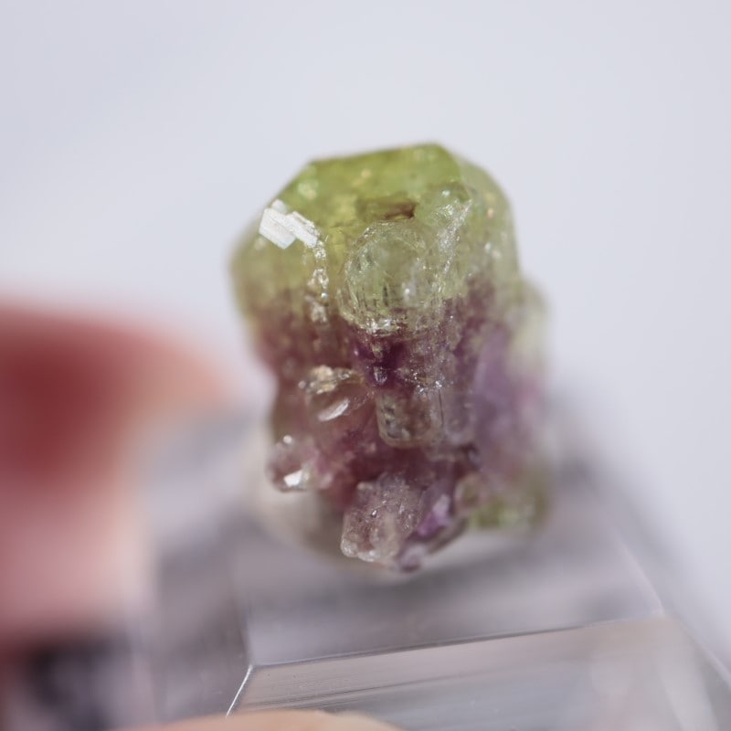 �٥����Сʥ٥��ӥ��ʥ��ȡ�