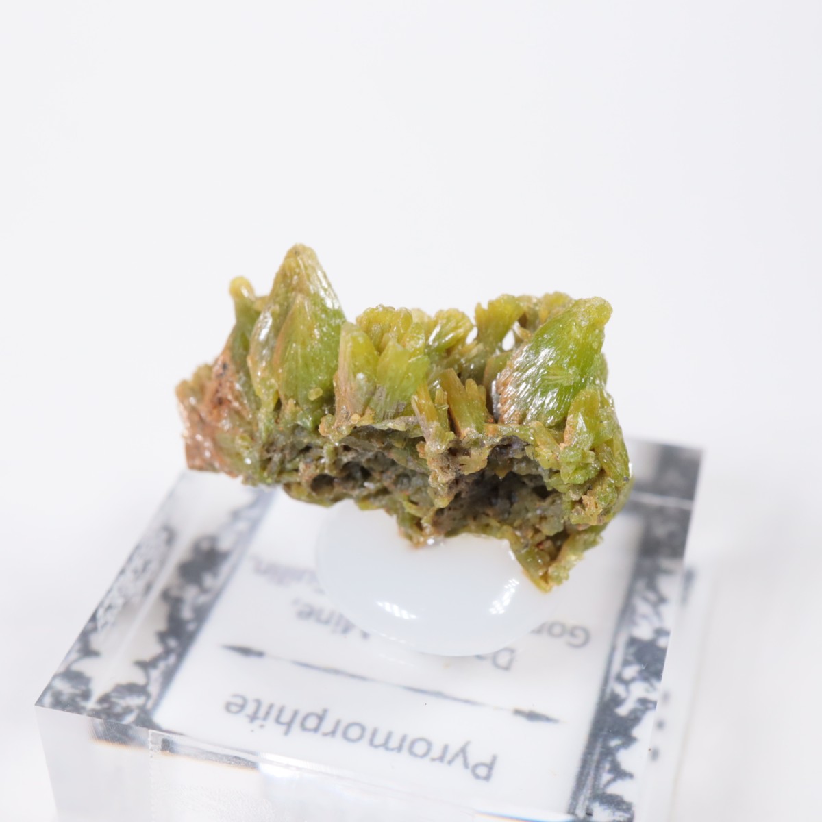 Daoping�ۻ� �ѥ������ե�����