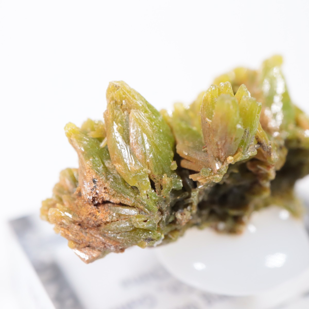 Daoping�ۻ� �ѥ������ե�����