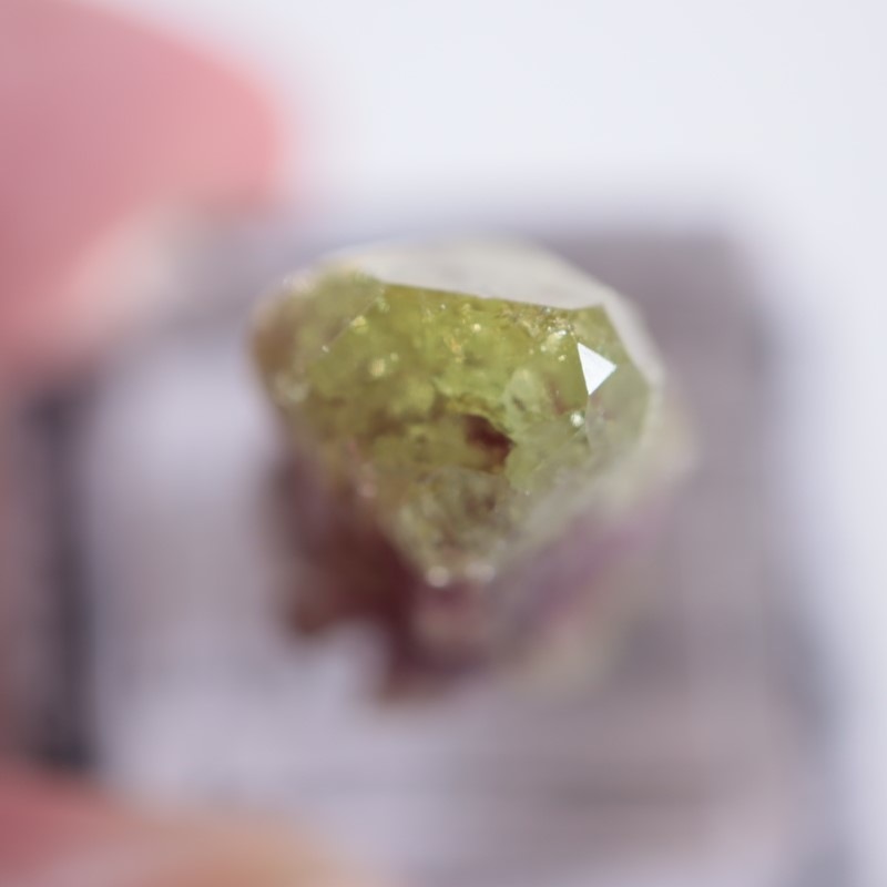 �٥����Сʥ٥��ӥ��ʥ��ȡ�