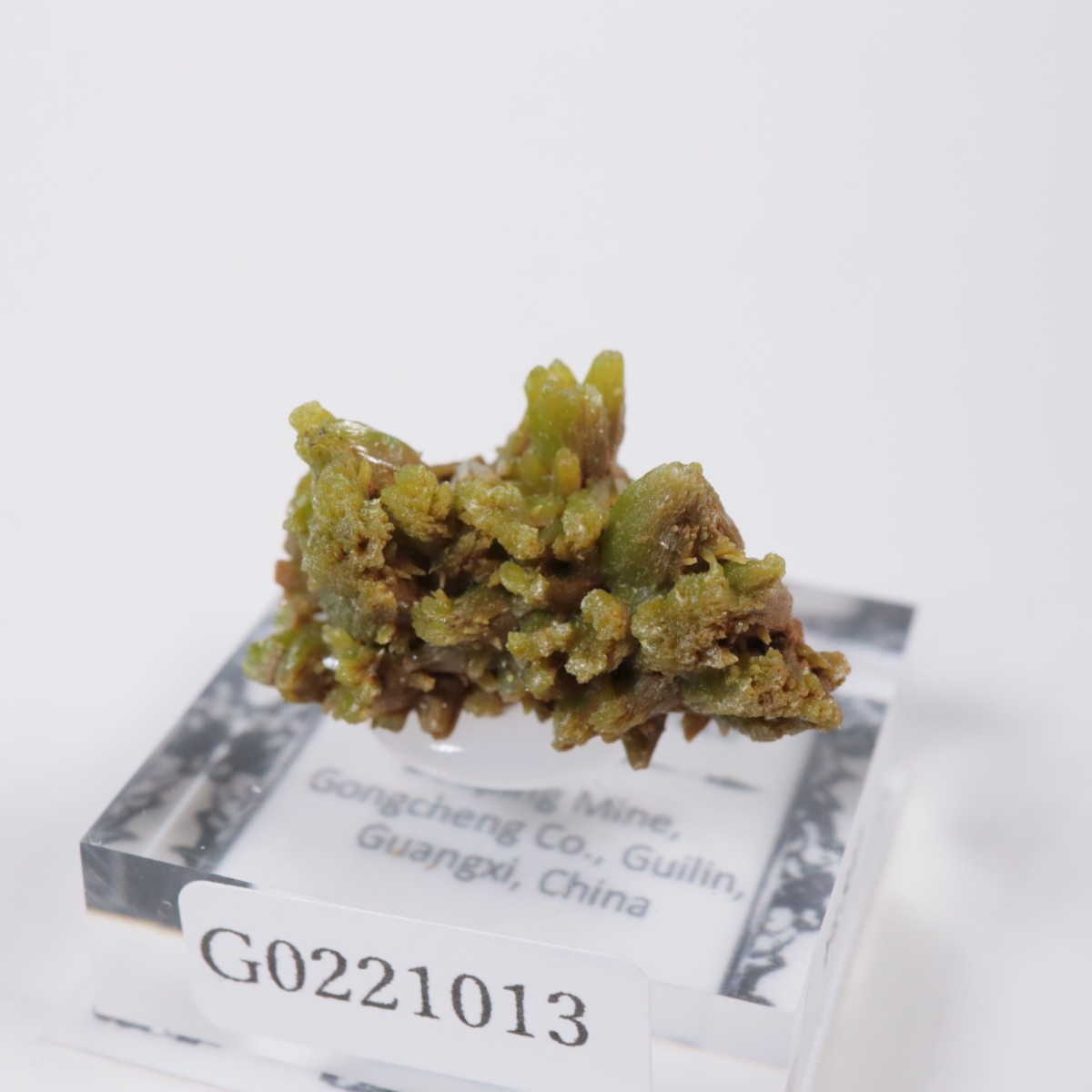 Daoping�ۻ� �ѥ������ե�����