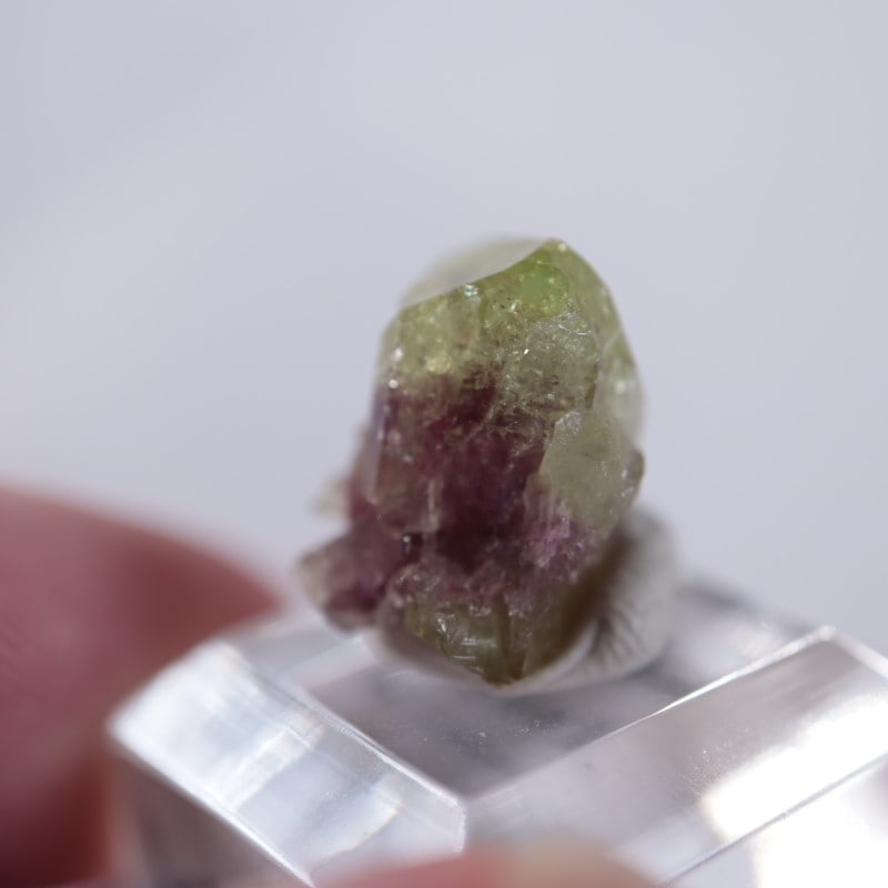 �٥����Сʥ٥��ӥ��ʥ��ȡ�