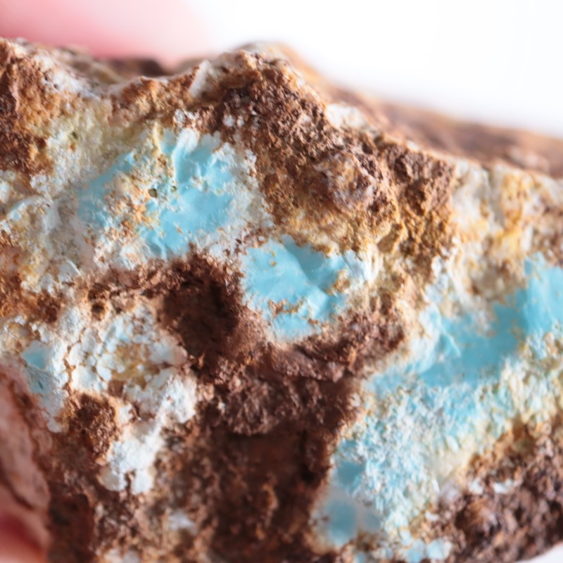 アメリカ産 ターコイズ | 鉱物標本,タ行,ターコイズ/トルコ石 | ほたる