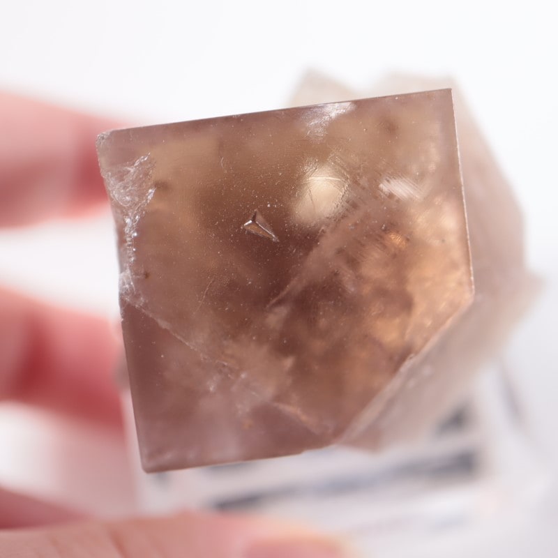 Lady Annabella Fairy Holes Pocket フローライト Fluorite- Fairy Holes Pocket, Lady Annabella, Co Durham