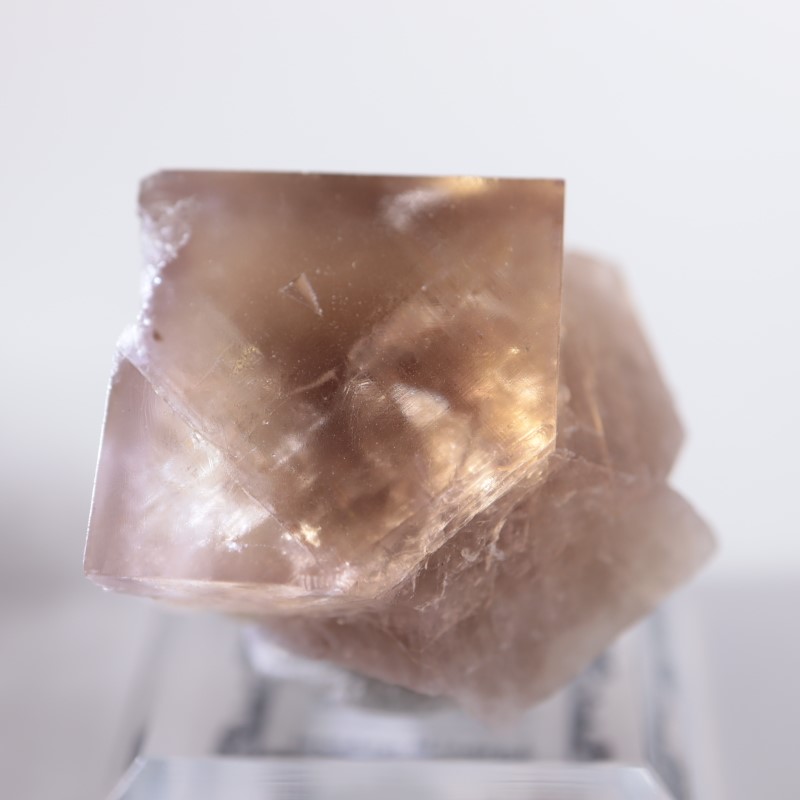 Sherry Twins産 フローライト | 鉱物標本,ハ行,フローライト/蛍