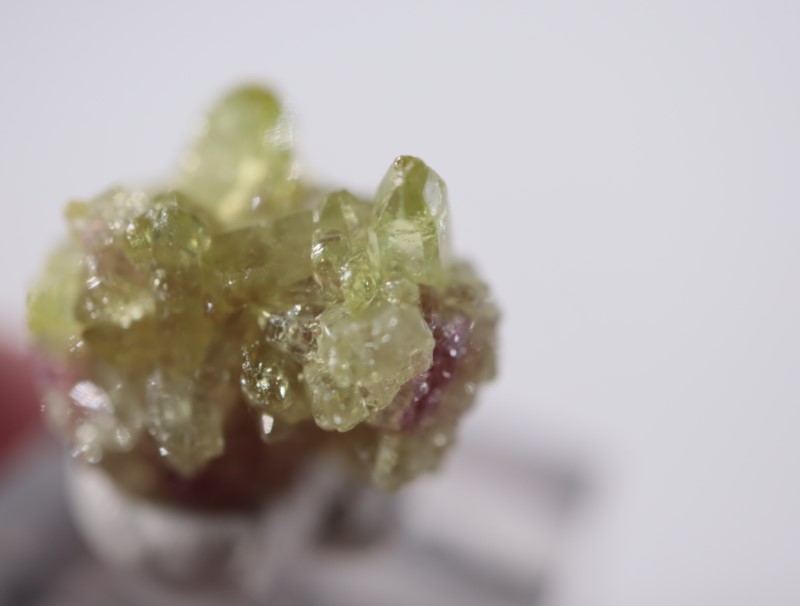 ���ʥ������٥��������ʥ���