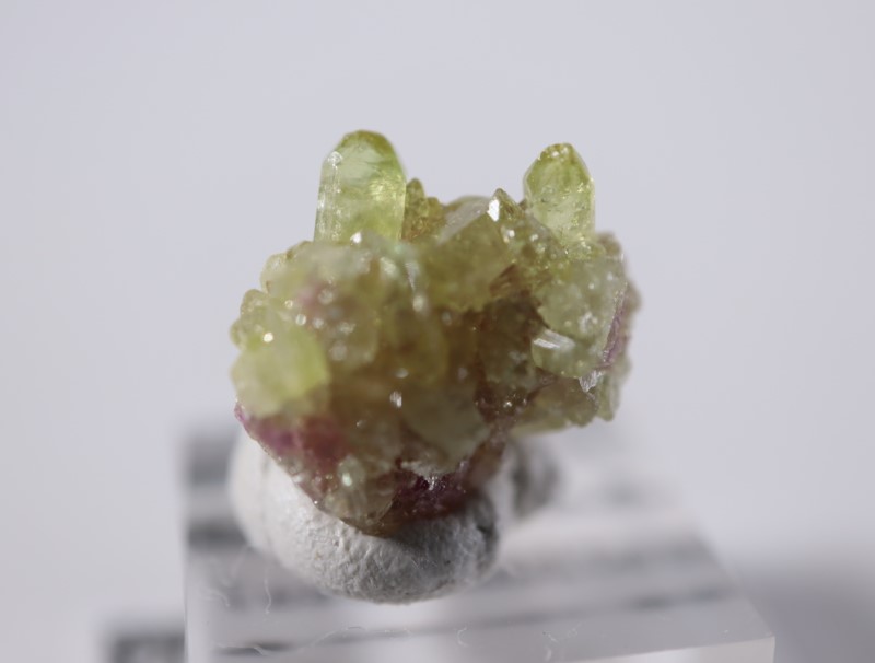 ���ʥ������٥��������ʥ���