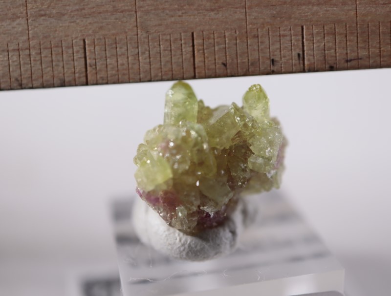 ���ʥ������٥��������ʥ���