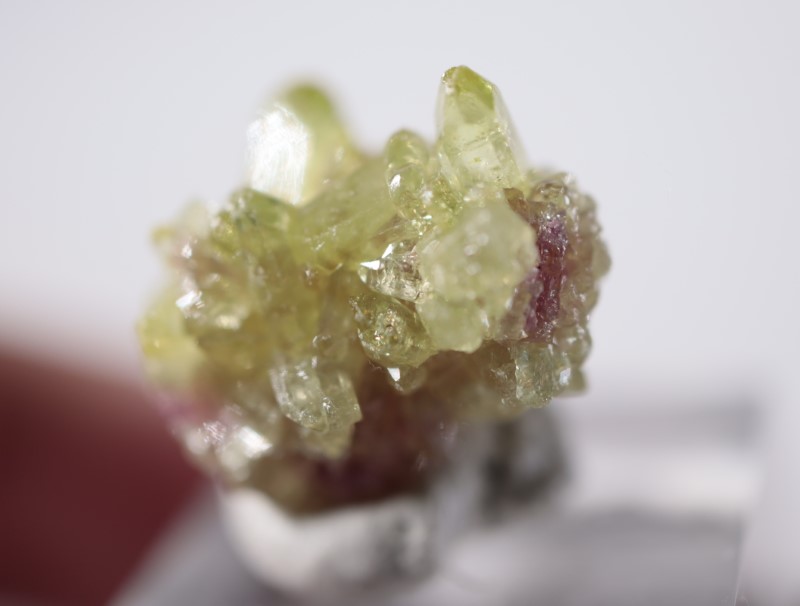 ���ʥ������٥��������ʥ���