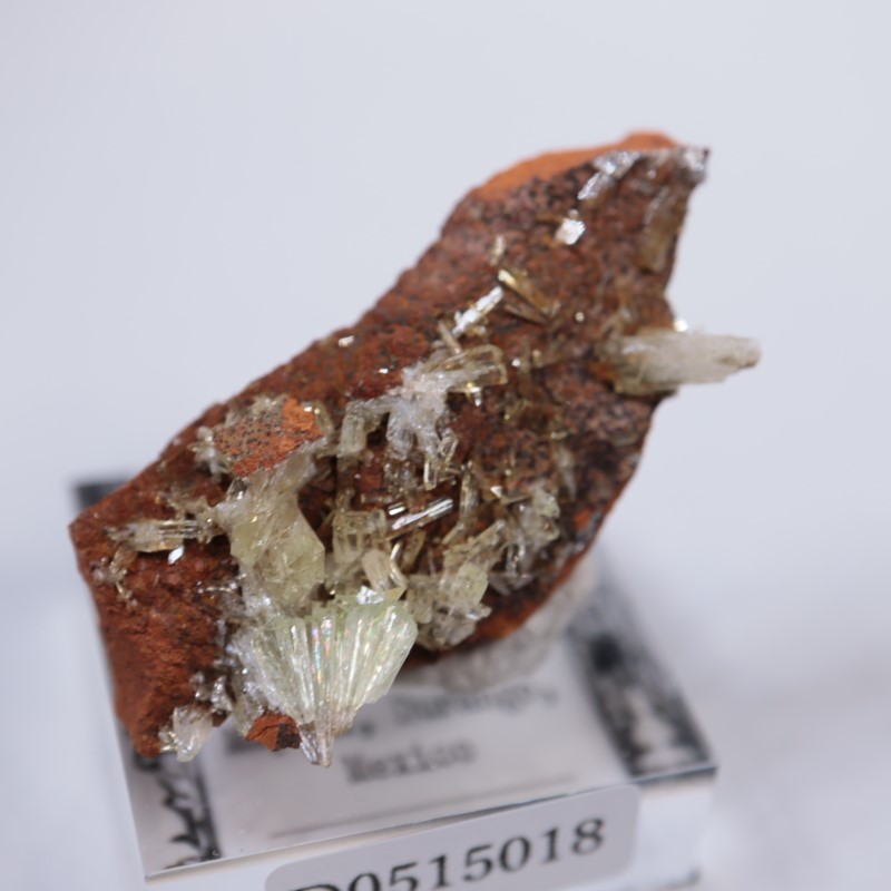 オハエラ鉱山 アダマイト | 鉱物標本,ア行,アダマイト/アダム鉱