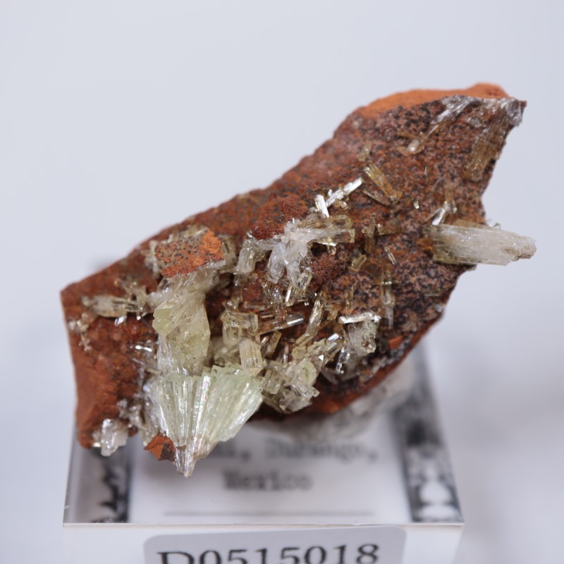 オハエラ鉱山 アダマイト | 鉱物標本,ア行,アダマイト/アダム鉱