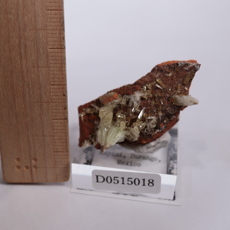 オハエラ鉱山 アダマイト | 鉱物標本,ア行,アダマイト/アダム鉱