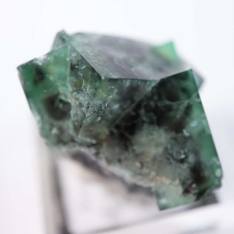 The Hidden Forest Pocket 蛍石 | 鉱物標本,ハ行,フローライト