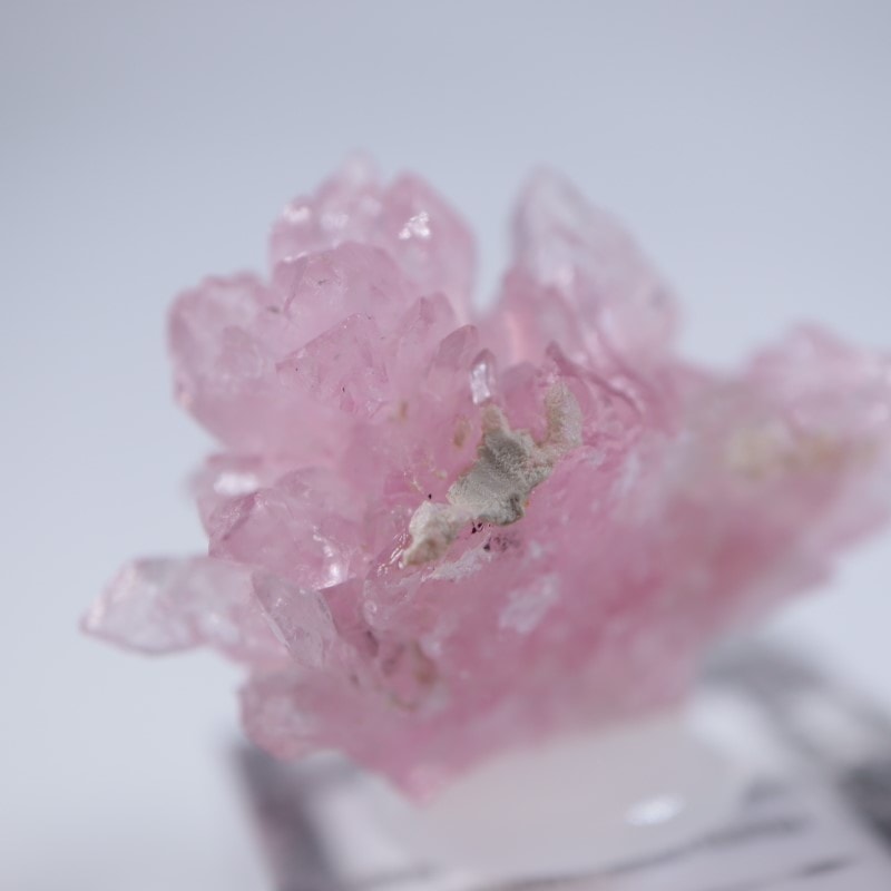 ブラジル産 ローズクォーツ | 鉱物標本,カ行,クォーツ/水晶 | ほたるみ