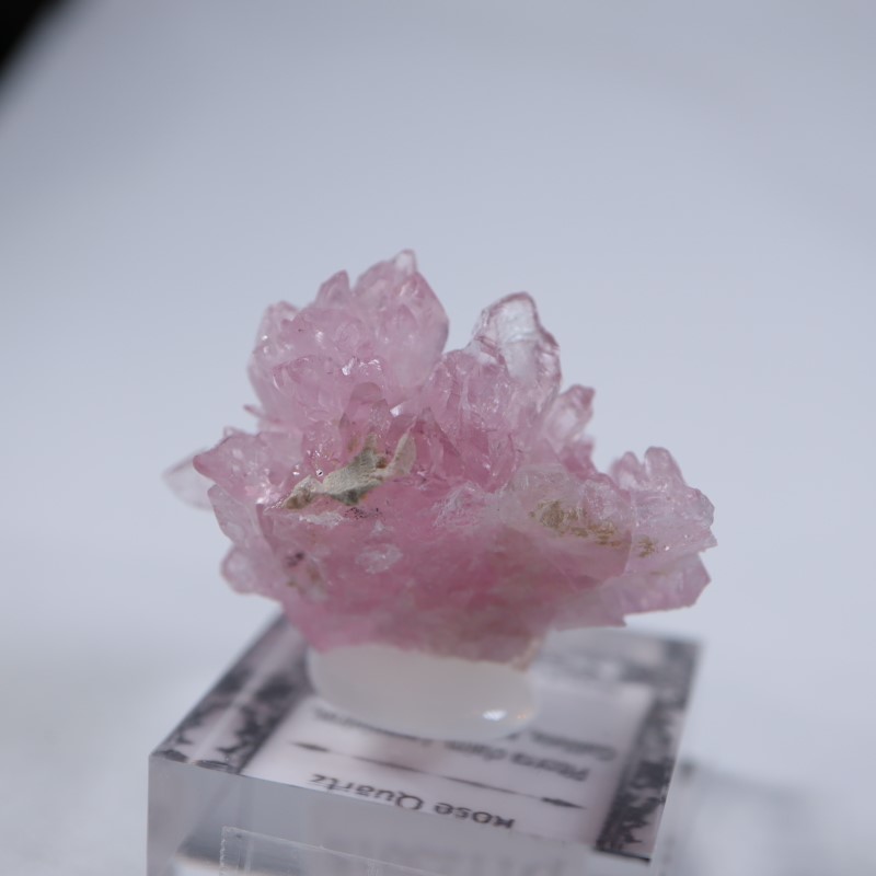 ブラジル産 ローズクォーツ | 鉱物標本,カ行,クォーツ/水晶 | ほたるみ